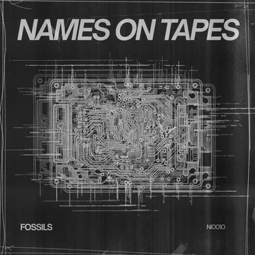 Fossils by Names on Tapes - album cover