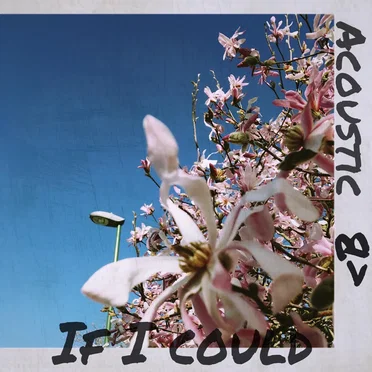 If I Could by Bleacher Boy - album cover