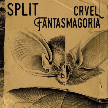 Split