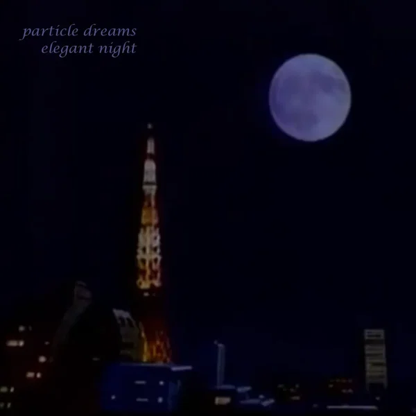 elegant night