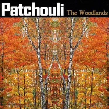 The Woodlands