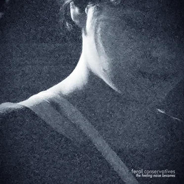 The Feeling Noise Becomes