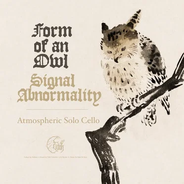 Signal Abnormality by Form of an Owl - album cover