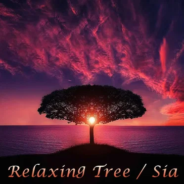 Relaxing Tree by Sia - album cover