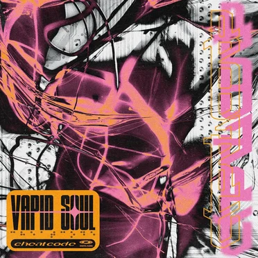 Vapid Soul