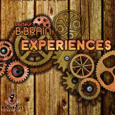 Experiences by B-Brain - album cover