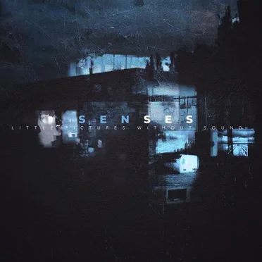 Little Pictures Without Sound