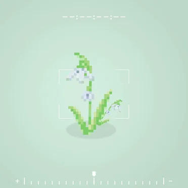 Snowdrop