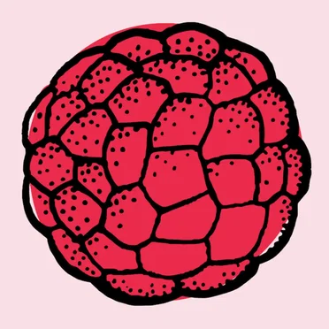 Raspberry EP