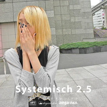 Systemisch 2.5