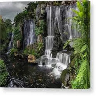 Nature EP