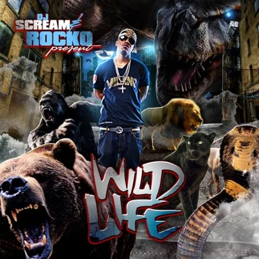 Wild Life by Rocko - album cover