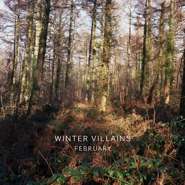 February by Winter Villains - album cover
