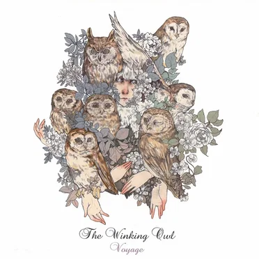 Voyage by The Winking Owl - album cover