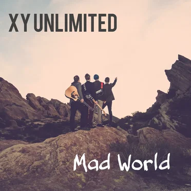 Mad World by XY Unlimited - album cover