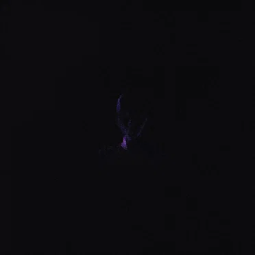 EP9 by Miyuki - album cover