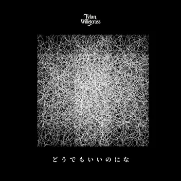 どうでもいいのにな by Tylan Willetcrass - album cover