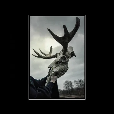 The Forest Tapes by Sanne de Neige - album cover