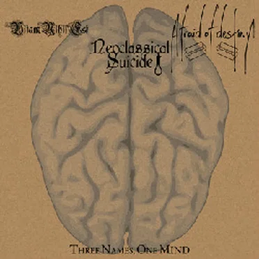 Three Names, One Mind by Afraid of Destiny - album cover