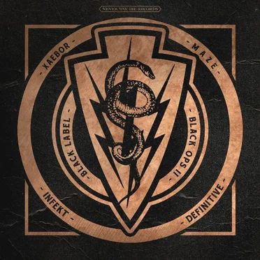Black Ops II by Definitive - album cover