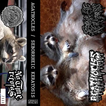 Agathocles / Seborrheic Keratosis Split