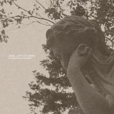 Orchestre de poussière