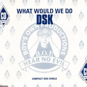 What Would We Do? by DSK - album cover