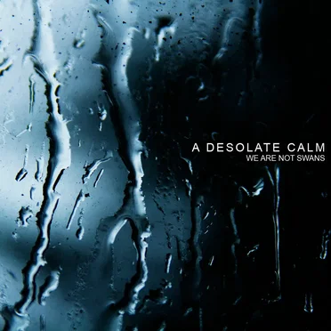 We Are Not Swans by A Desolate Calm - album cover