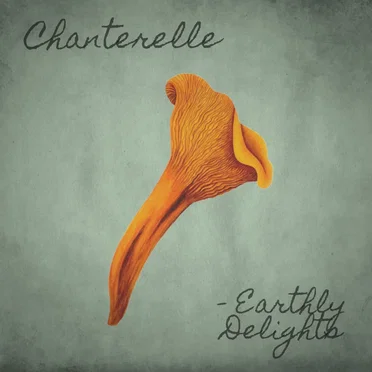 Earthly Delights by Chanterelle - album cover