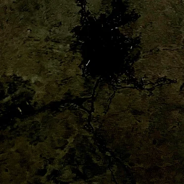 3exoprojection
