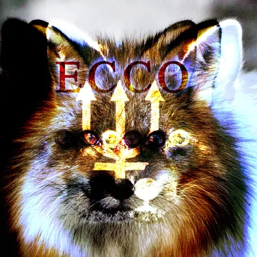 Broken Instrumentals by ECCOWAVE - album cover
