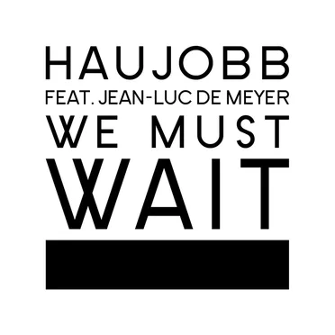 We Must Wait by Haujobb - album cover