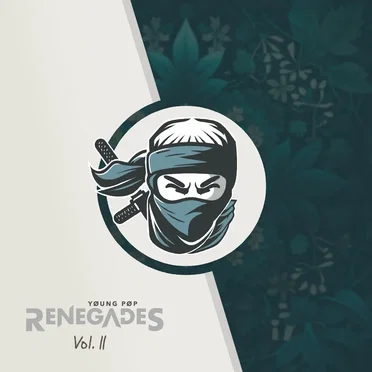 Young Pop Renegades, Vol. 2 by Various Artists - album cover