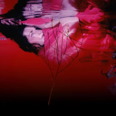 In the Overtone