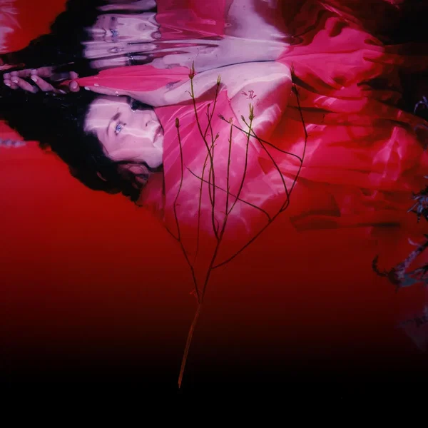 In the Overtone