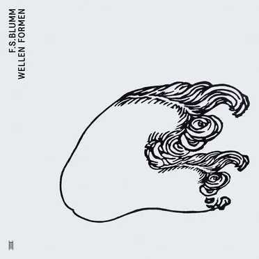 WELLEN FORMEN by F.S. BLUMM - album cover