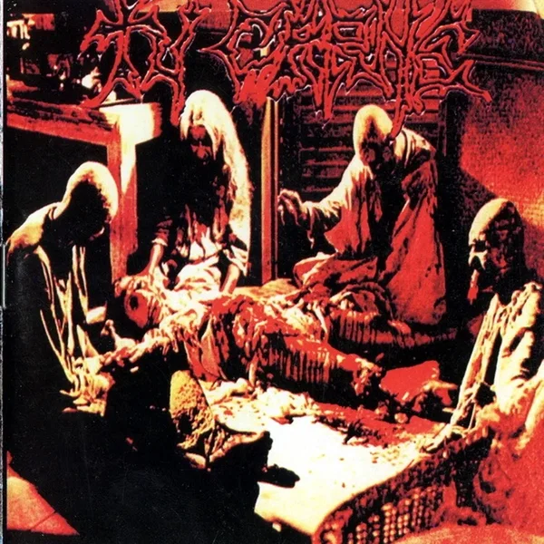 Tu Carne / Germen / Agony Terror System