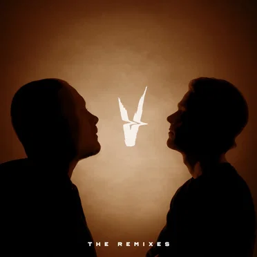 V (the remixes)