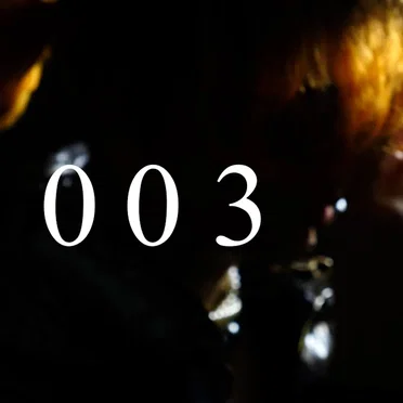 003