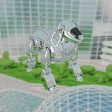 iDog