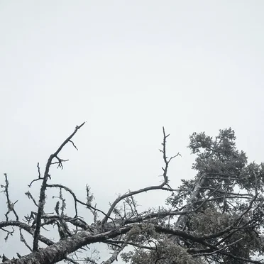 霧と砂