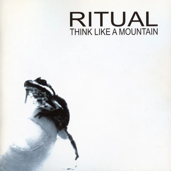 Think Like a Mountain