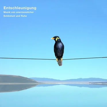 Entschleunigung by Various Artists - album cover