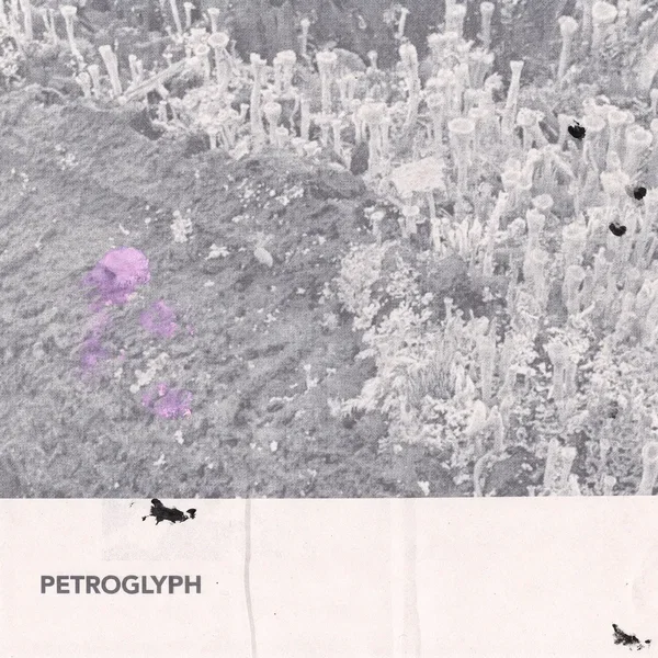 petroglyph