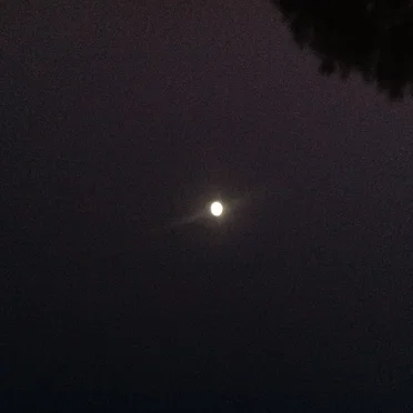 A Cold Dead Star in the Sky