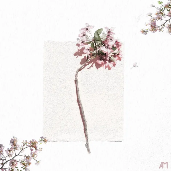 Blossom