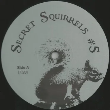 Secret Squirrels #5 by Secret Squirrel - album cover
