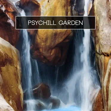 Psychill Garden by Various Artists - album cover