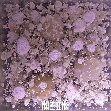 Dust Rings by Celestino - album cover
