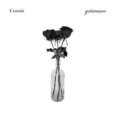 Grievance by Consist - album cover